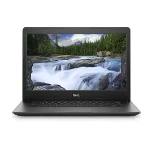 Dell Vostro 3490
